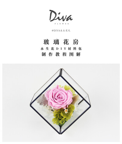 玻璃花房（永生花DIY）——DIVA永生花礼