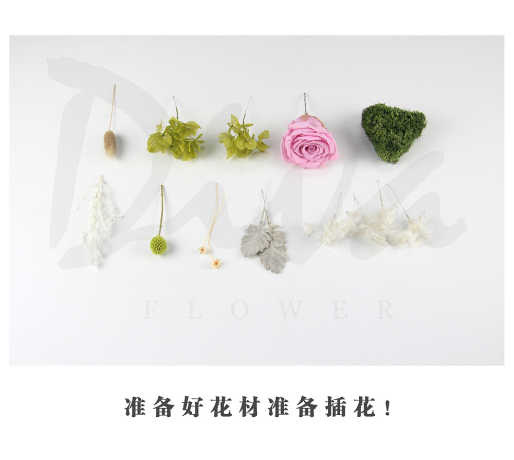 玻璃花房（永生花DIY）——DIVA永生花礼