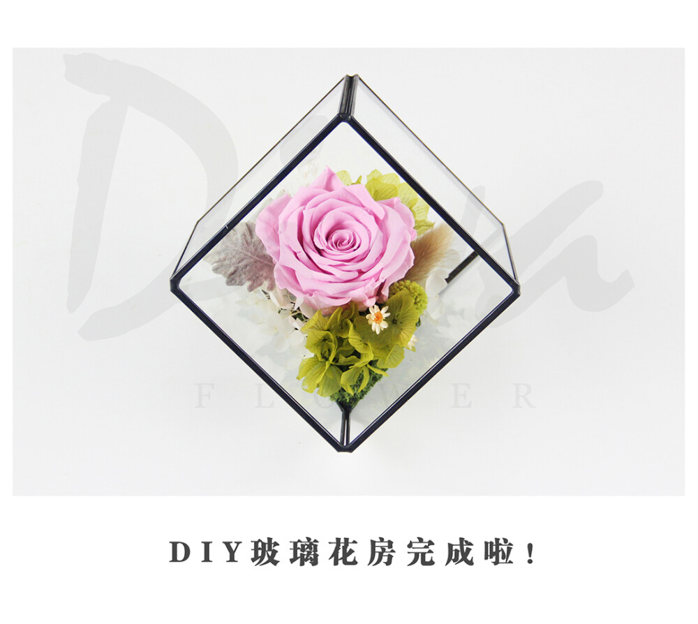 玻璃花房（永生花DIY）——DIVA永生花礼