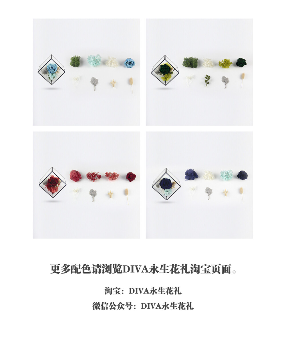 玻璃花房（永生花DIY）——DIVA永生花礼