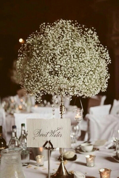 满天星，美美哒