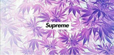 Supreme