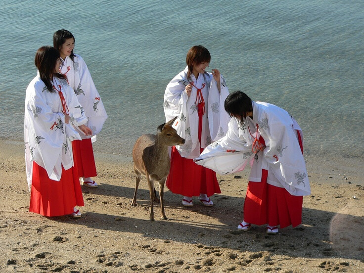 神社巫女 日本