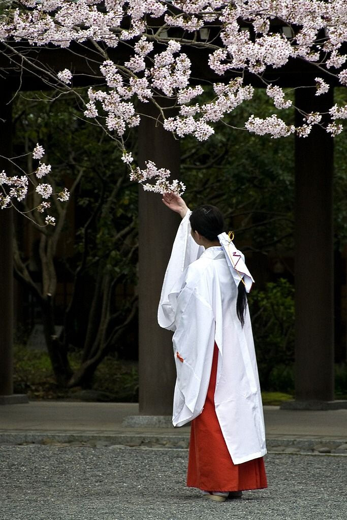 神社巫女 日本