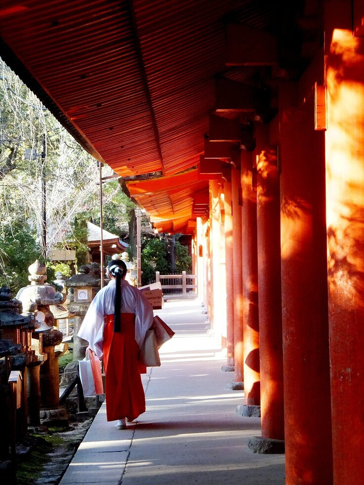 神社巫女 日本