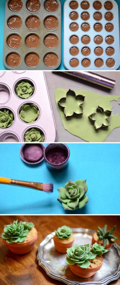 Clay succulents