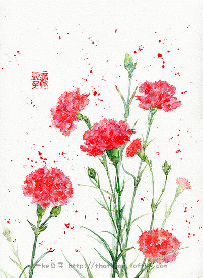 手绘 好看花朵 花卉