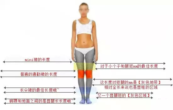 一张图告诉你，什么长度裙子最显高