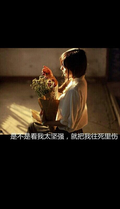 这些文字壁纸是否某一张也能触动你的心弦！