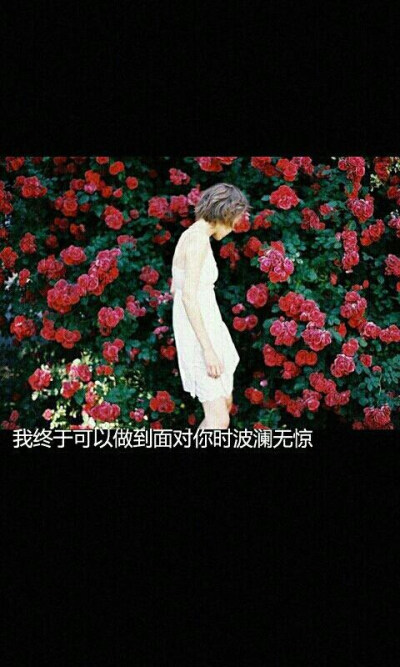 这些文字壁纸是否某一张也能触动你的心弦！