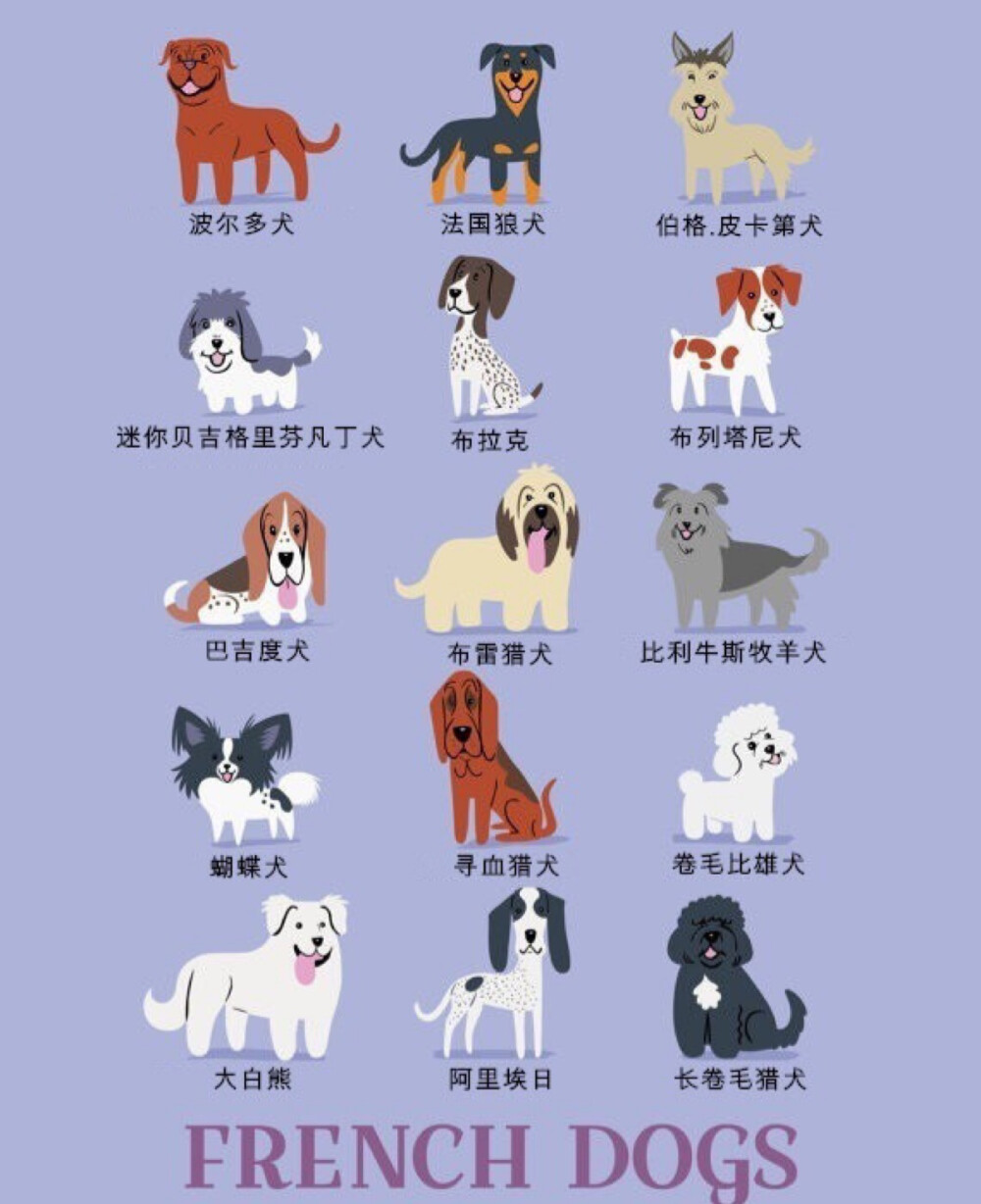 7 世界名犬圖鑒。插畫家 Lili Chin從2014年夏天開始畫了200多只來自世界各地我們最喜歡的類型的狗，她展示出了一個(gè)狗的世界，這是192只犬品種的集合。它們的地理位置、國家分布，海報(bào)具有說明功能，卡通風(fēng)格突出每只狗的獨(dú)特外觀。