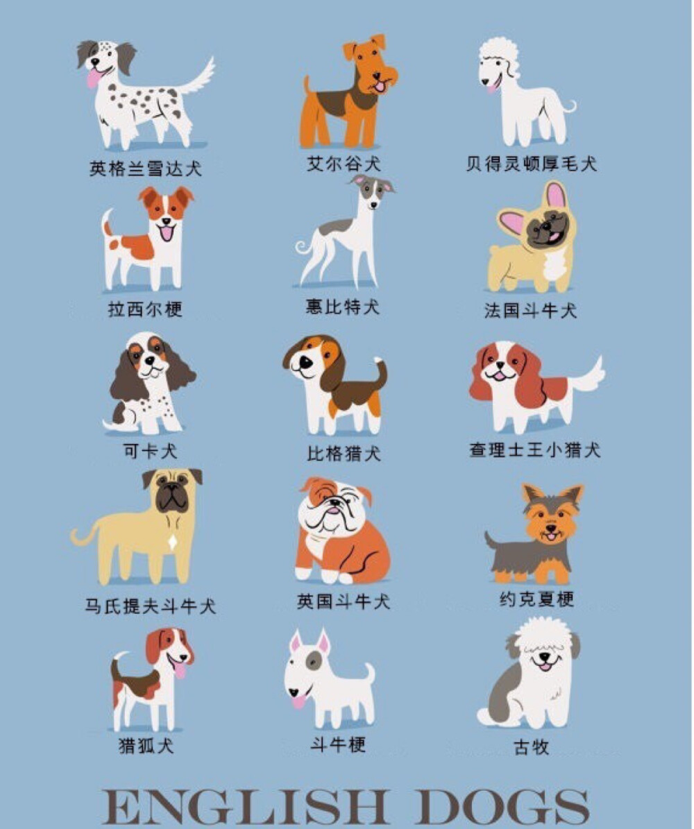 9 世界名犬圖鑒。插畫(huà)家 Lili Chin從2014年夏天開(kāi)始畫(huà)了200多只來(lái)自世界各地我們最喜歡的類(lèi)型的狗，她展示出了一個(gè)狗的世界，這是192只犬品種的集合。它們的地理位置、國(guó)家分布，海報(bào)具有說(shuō)明功能，卡通風(fēng)格突出每只狗的獨(dú)特外觀。