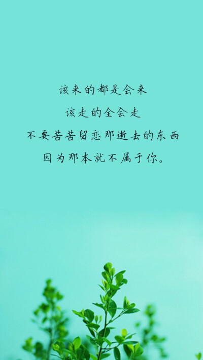 壁纸