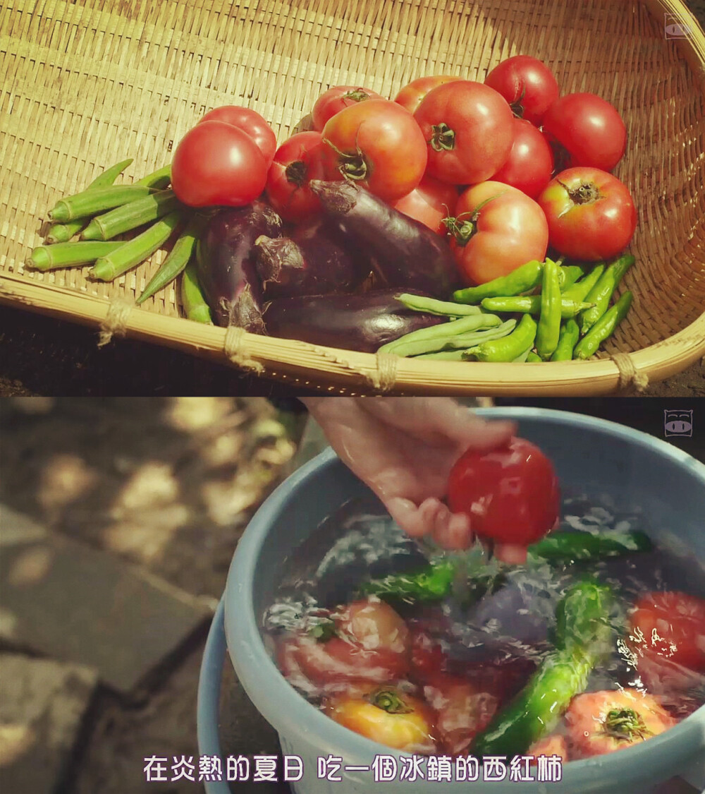 小森林 夏秋篇。