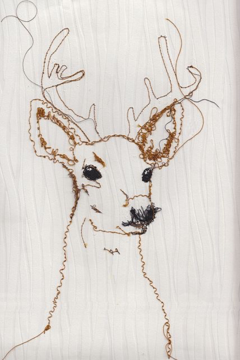 deer