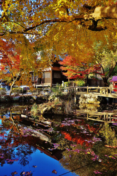 Ookaji, Koka, Shiga, Japan(by 近江源氏)。日本滋贺县甲贺郡龙王山大冈寺。