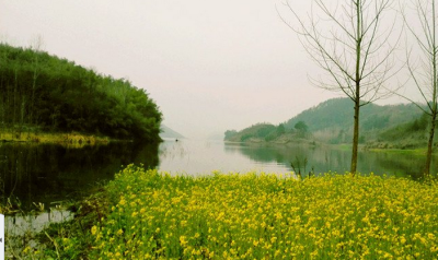 岸边漫天的油菜花告诉我们春天的到来，在清澈潺潺的库湾，总会有那么一群人起的比谁都早，静静的垂着钓竿，怡然自得的坐在岸边喝着清茶，待到中午拿着三两条飞鱼让家里一顿美餐