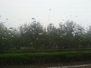 #压马路猜城市#