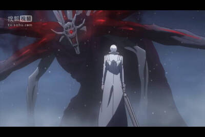 “要是可以的话...我并不想和你战斗...但是...”