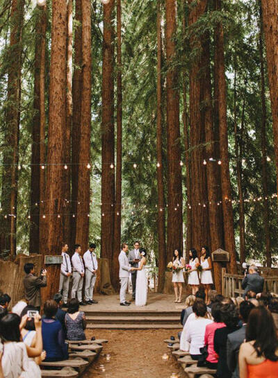 森林系，自然系的婚礼现场