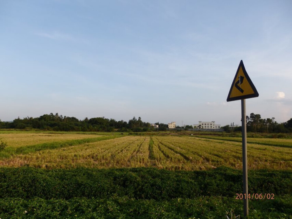 原创，你梦里的稻田，像你吃过最香的一碗饭