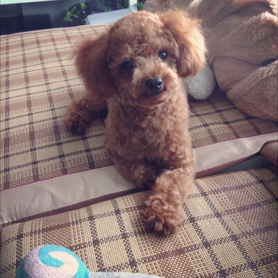 小样你就装吧，3秒就原形毕露，咩哈哈哈