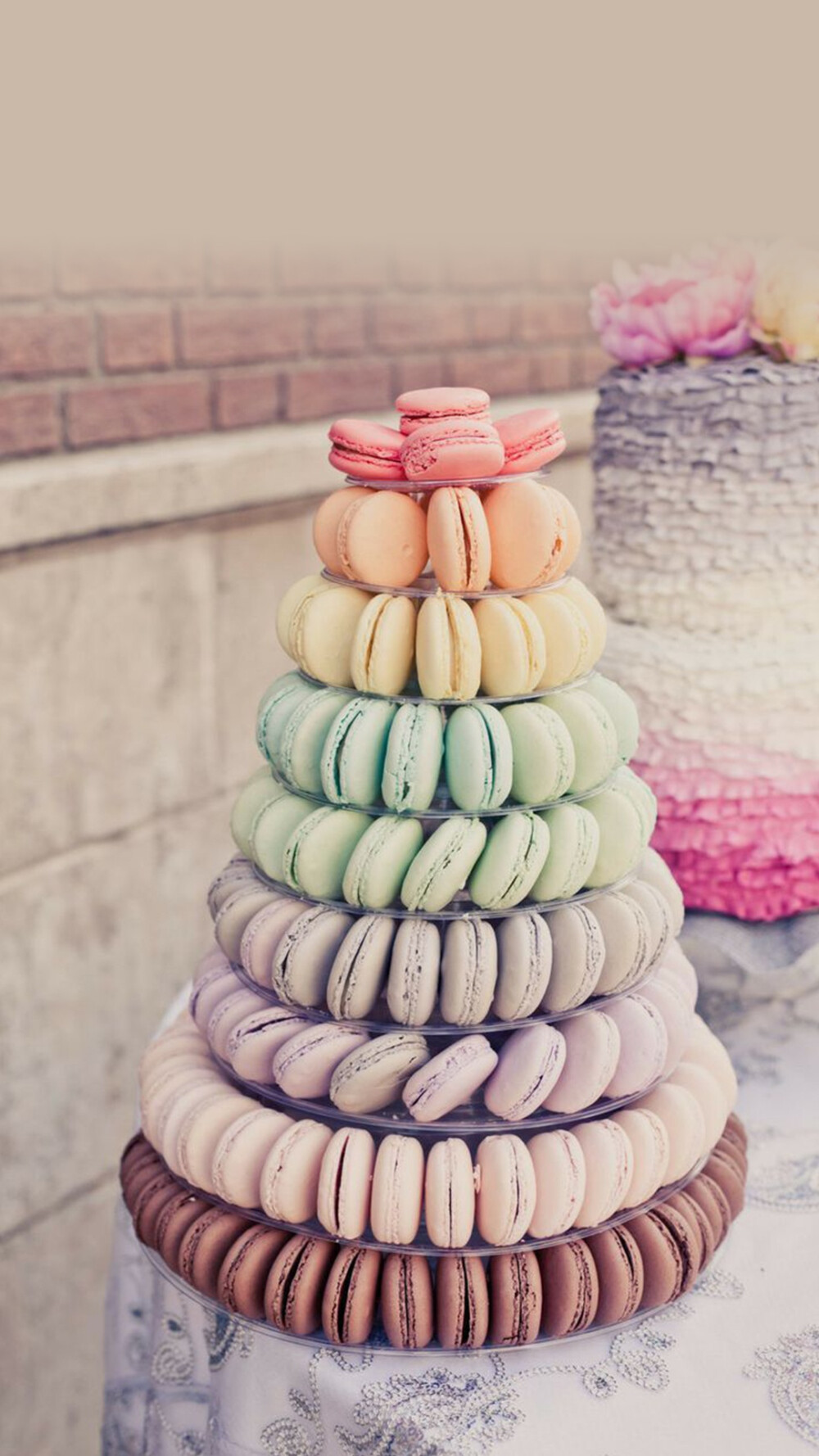 macaron 005