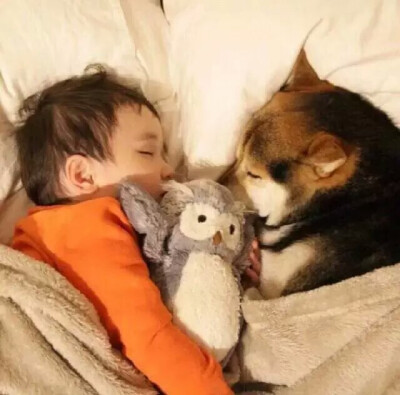 当宝宝身边多了只呆宠后 一起睡 一起呆 一起玩 有爱的一对玩伴♡