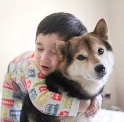 当宝宝身边多了只呆宠后 一起睡 一起呆 一起玩 有爱的一对玩伴♡