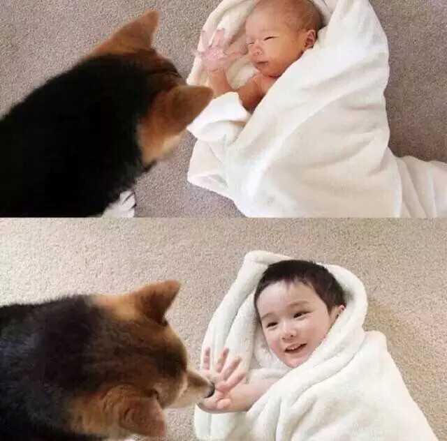 当宝宝身边多了只呆宠后 一起睡 一起呆 一起玩 有爱的一对玩伴♡