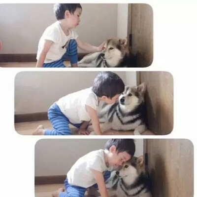 当宝宝身边多了只呆宠后 一起睡 一起呆 一起玩 有爱的一对玩伴♡