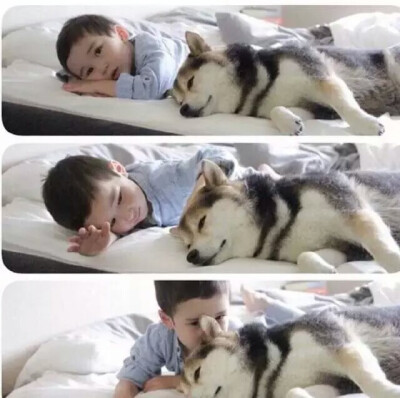 当宝宝身边多了只呆宠后 一起睡 一起呆 一起玩 有爱的一对玩伴♡