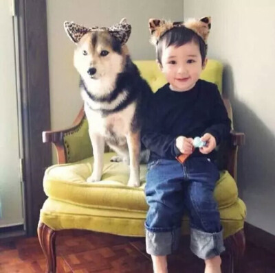 当宝宝身边多了只呆宠后 一起睡 一起呆 一起玩 有爱的一对玩伴♡