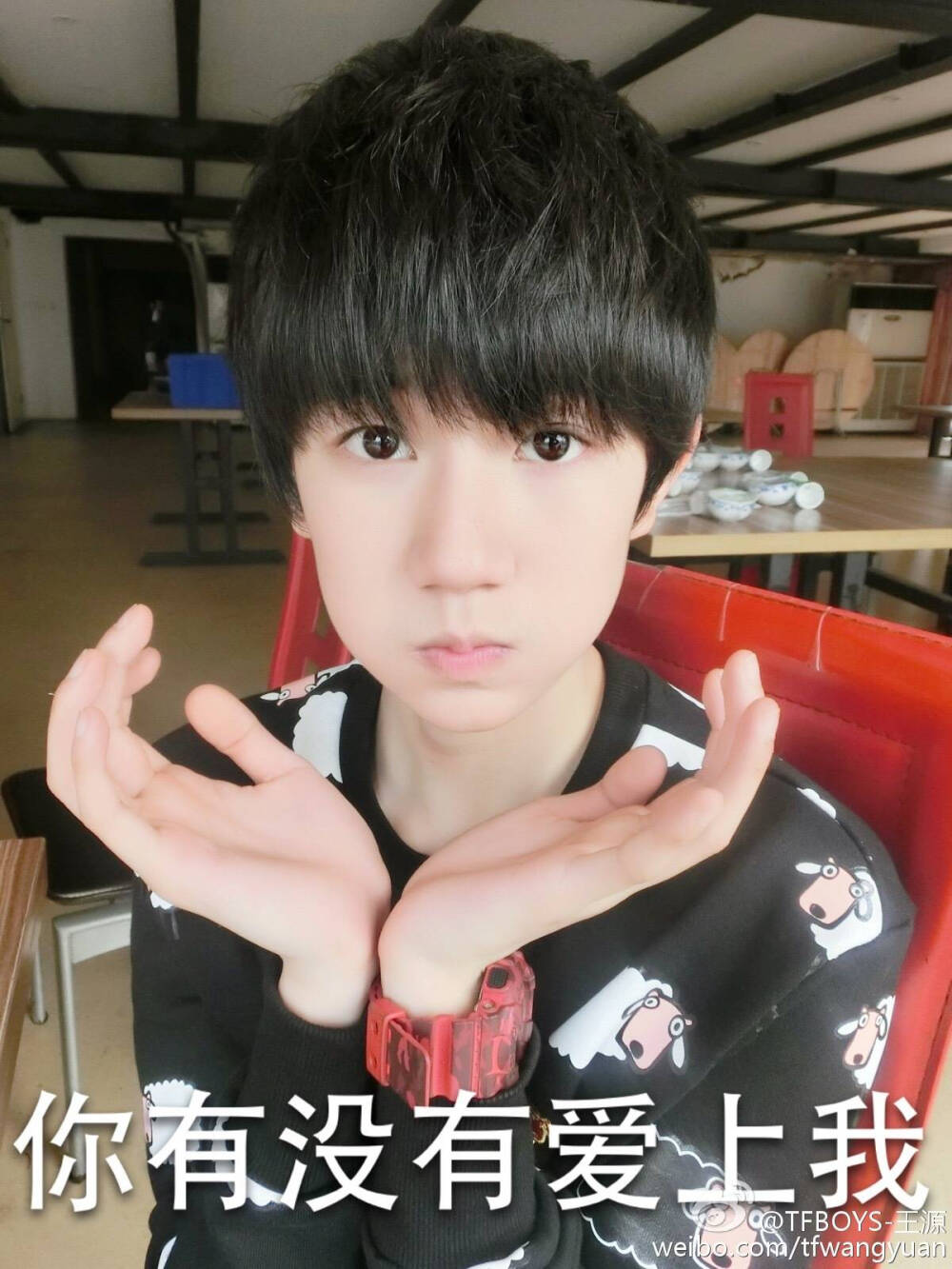 tfboys roy 王源 微博 官方