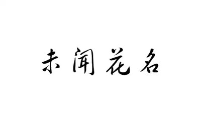 橡皮章 素材 黑白 排字 字体 字章 未闻花名 虐恋情深 二次元 动漫 我就喜欢这个 面码 仁太 超和平