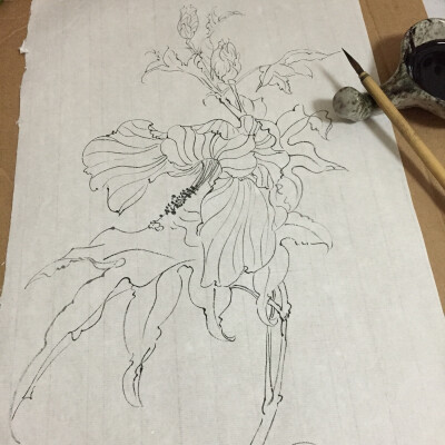 白描花卉