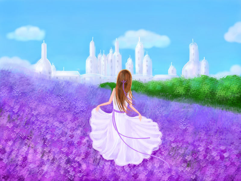 薰衣草 唯美 壁纸