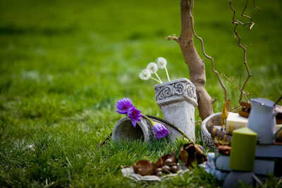 草坪婚礼上的蒲公英