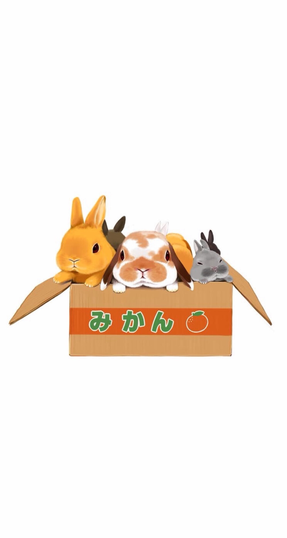 兔儿