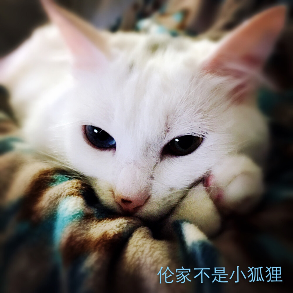 猜猜我是谁