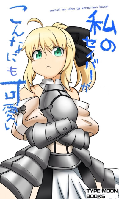 吾王saber lily