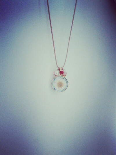 雏菊项链 简单壁纸