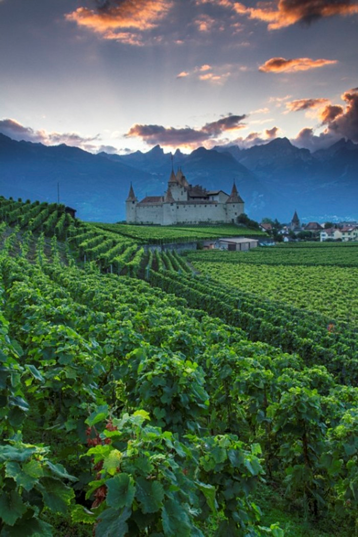 Chateau D’Aigle, Switzerland (by Patrick Bellon)。瑞士艾格勒城堡