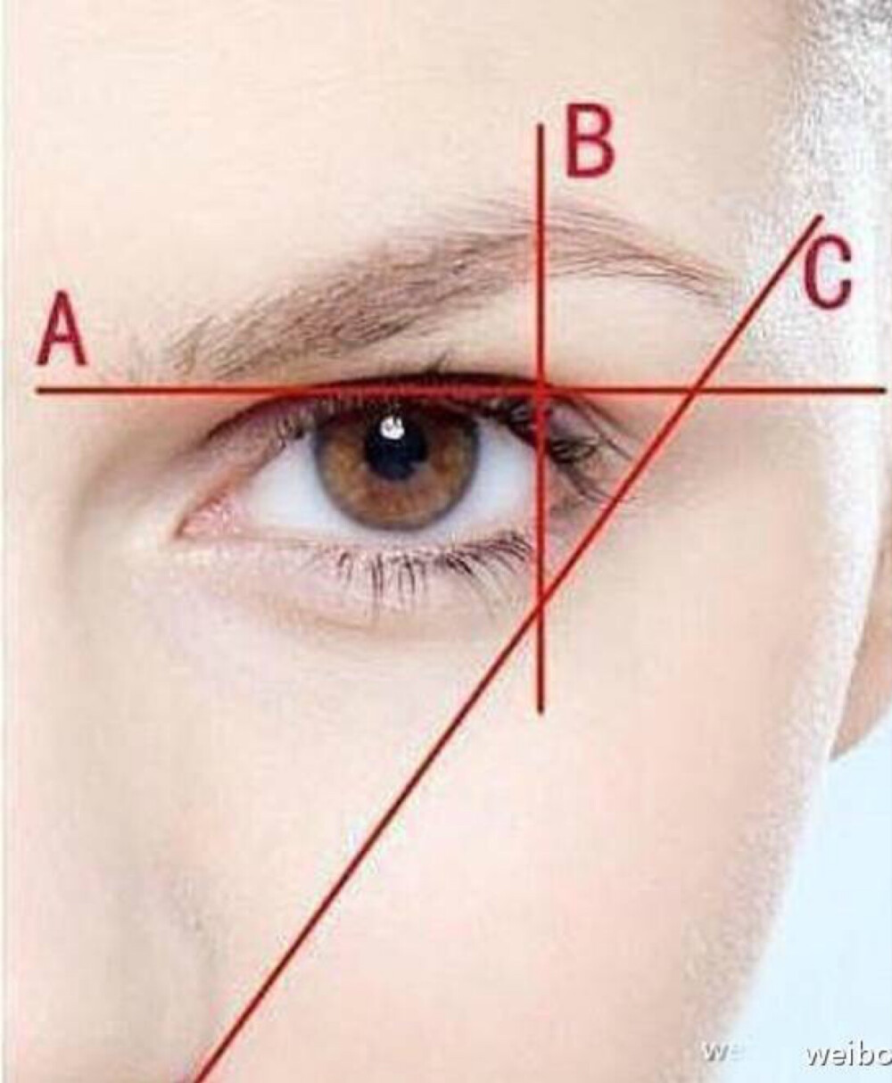 【修眉图解】A眉头位于眼头，鼻翼延长线略前处。B眉峰是眉毛最高处，位于鼻翼与瞳孔连线的延长线上或整条眉毛的2/3处。C眉尾位于鼻翼，眼尾延长线上，眉尾要略高于眉头。有这个图解，就不怕修不好眉毛了，只要按此比例，就可以修出标准眉形了。