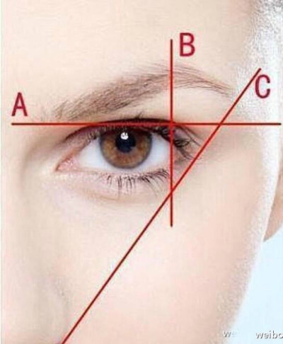 【修眉图解】A眉头位于眼头，鼻翼延长线略前处。B眉峰是眉毛最高处，位于鼻翼与瞳孔连线的延长线上或整条眉毛的2/3处。C眉尾位于鼻翼，眼尾延长线上，眉尾要略高于眉头。有这个图解，就不怕修不好眉毛了，只要按此比…