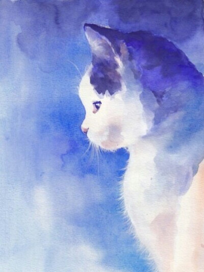 #猫#天空和白云，搭配一只蓝白相间的猫简直和谐