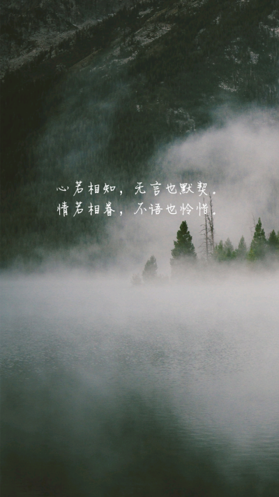 文字，壁纸