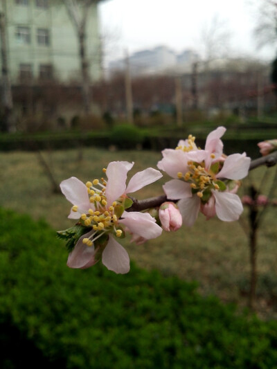 春暖花开