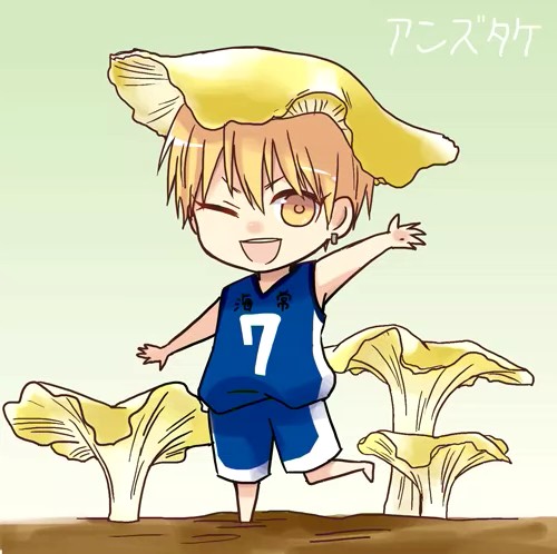 黑子的篮球_黄濑凉太