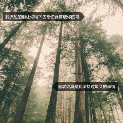 即使你让我流泪，我也开心